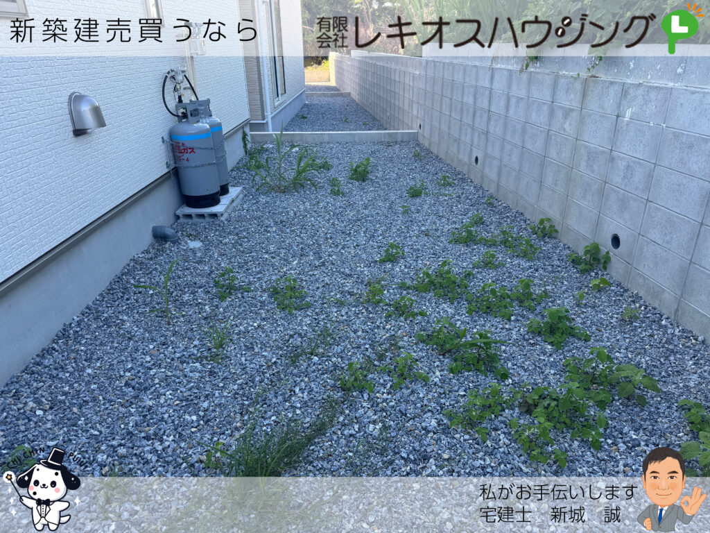 仲介手数料無料_糸満市宇江城_5号棟1