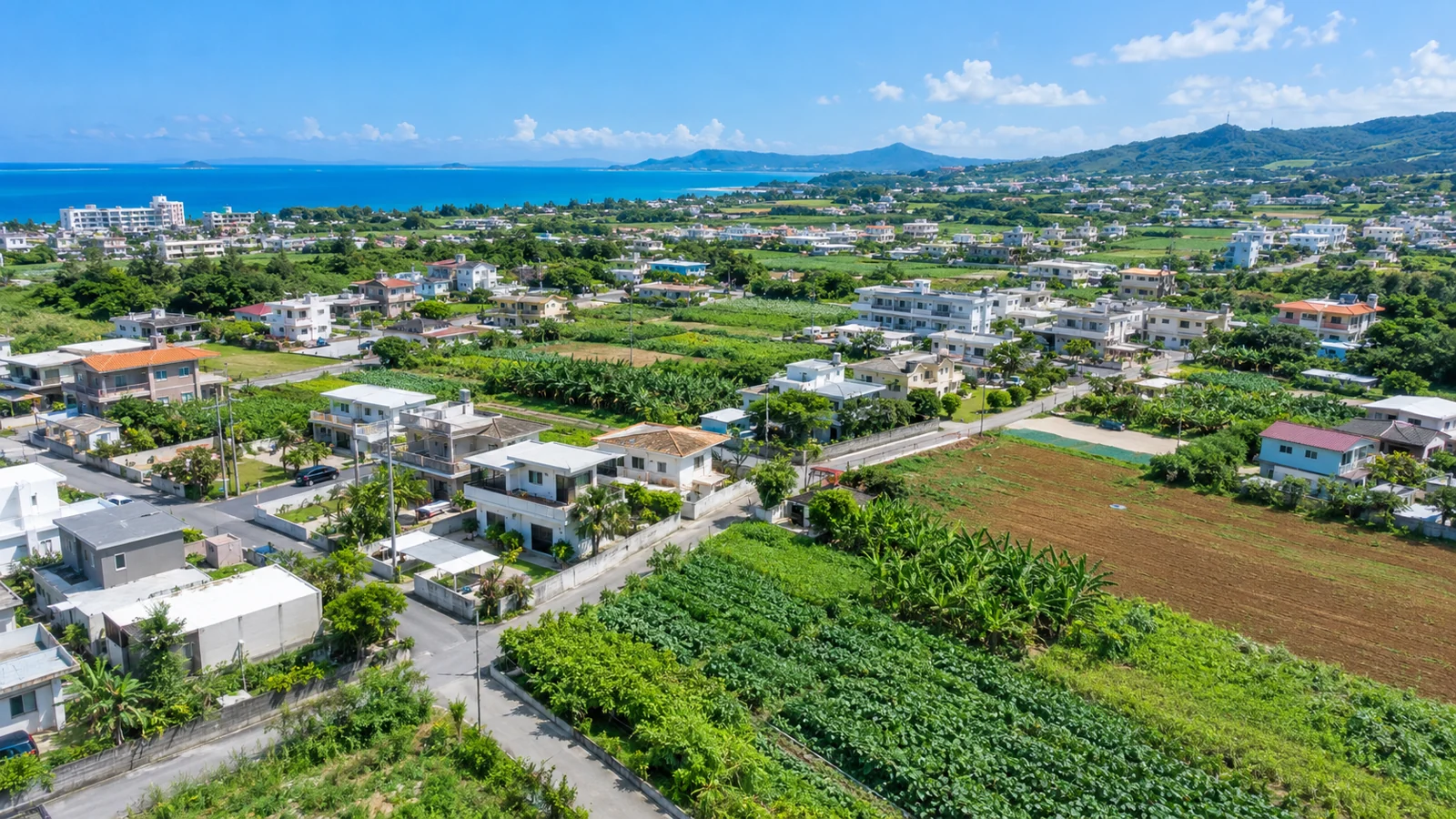 住宅地と畑の境目の空からの眺め